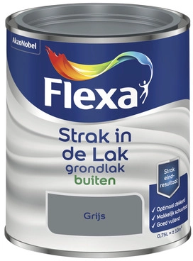 FLEXA STRAK IN DE LAK GRONDLAK